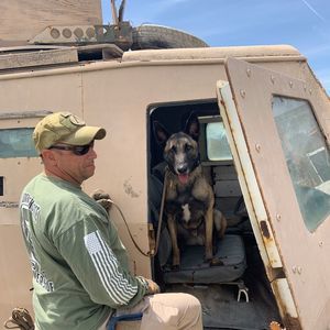 Meet your Posher, Peter